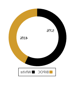 Ring graph showing 43% BIPOC and 57% White for past recipients